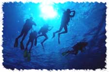 Specialty Instructor Divers